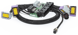 ECU Master - EMU Black Harness Adaptor (interconnector) for VW Golf Mk4 R32